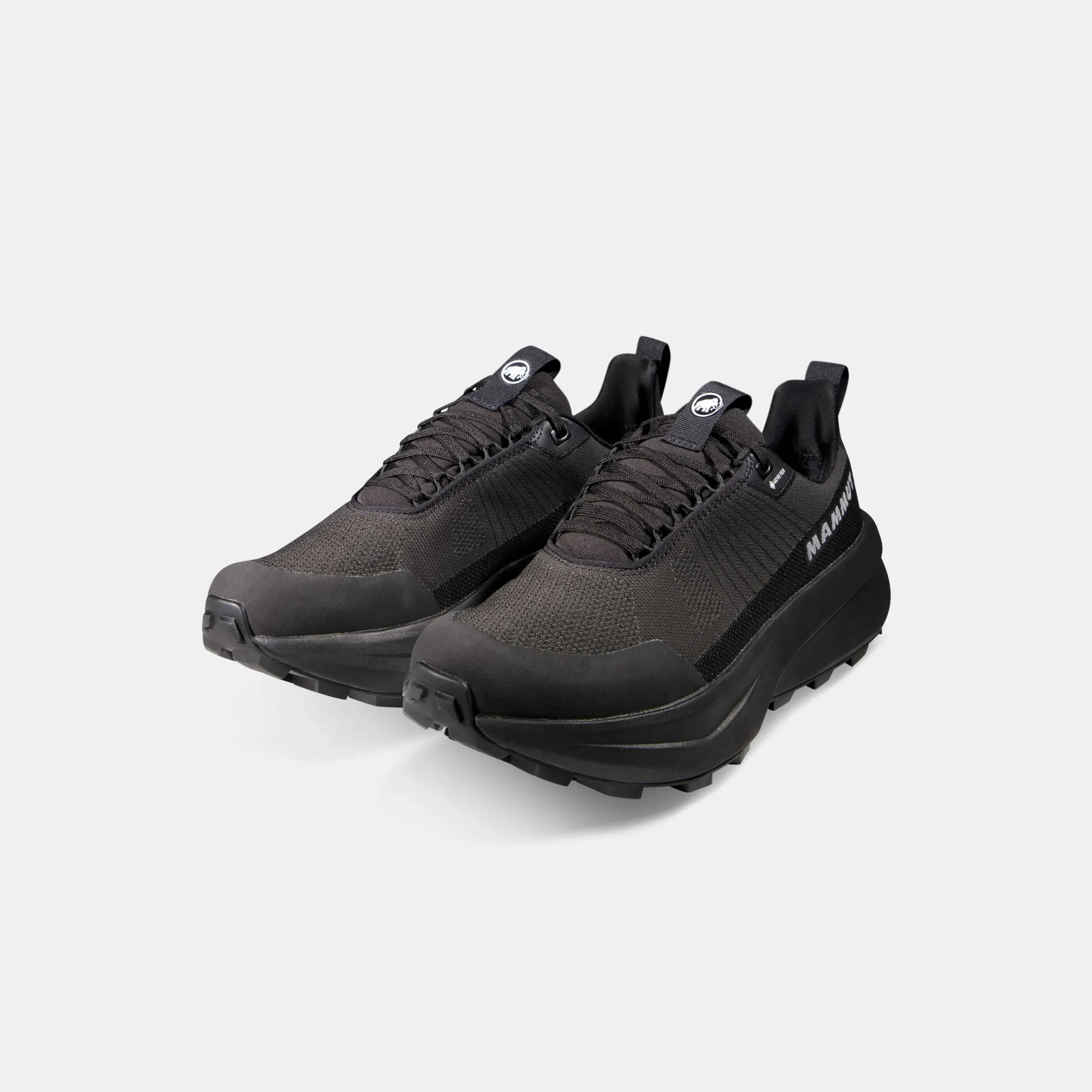 Aenergy Mtn Low GTX Men