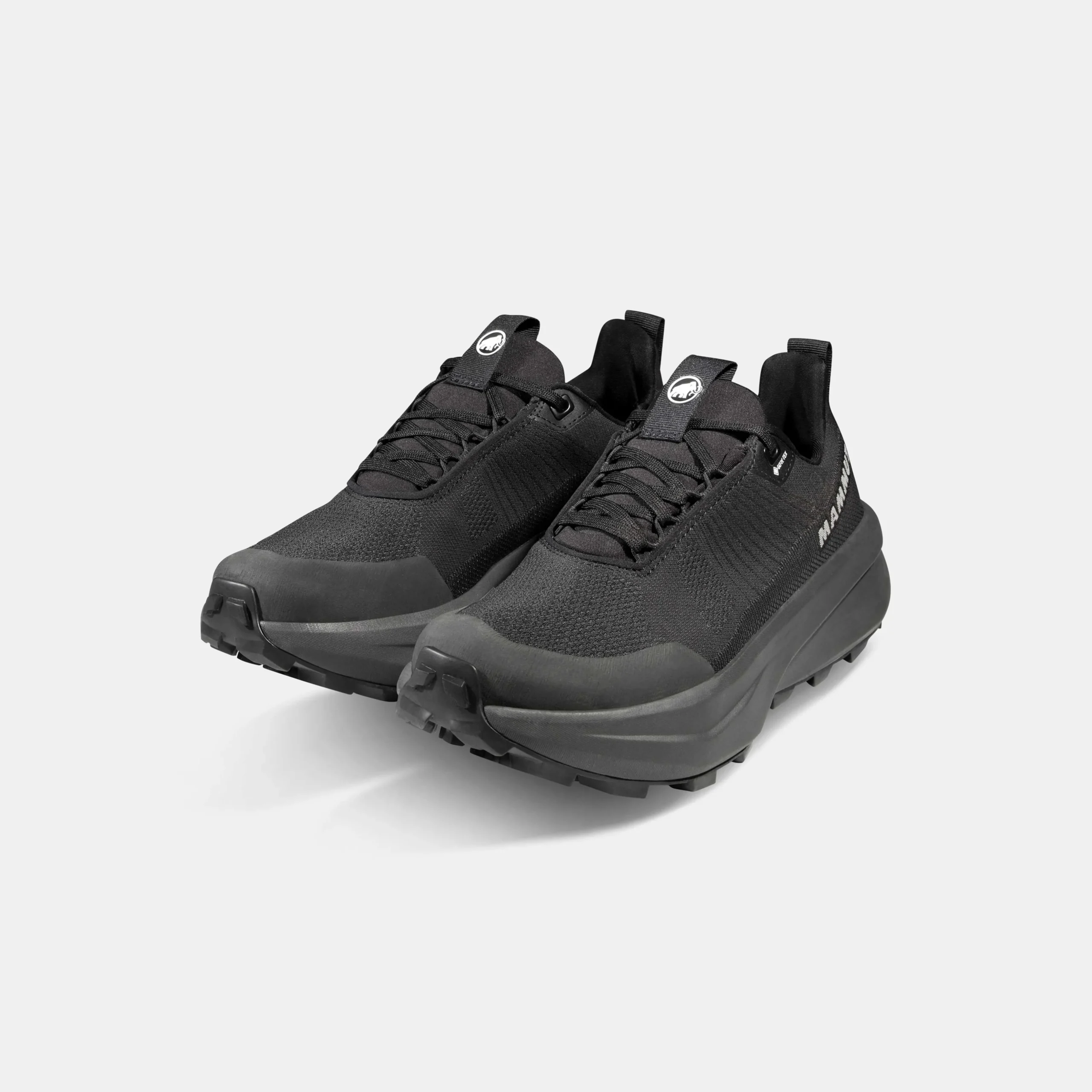 Aenergy Mtn Low GTX Women