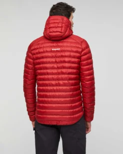 Albula IN Hooded Jacket Men