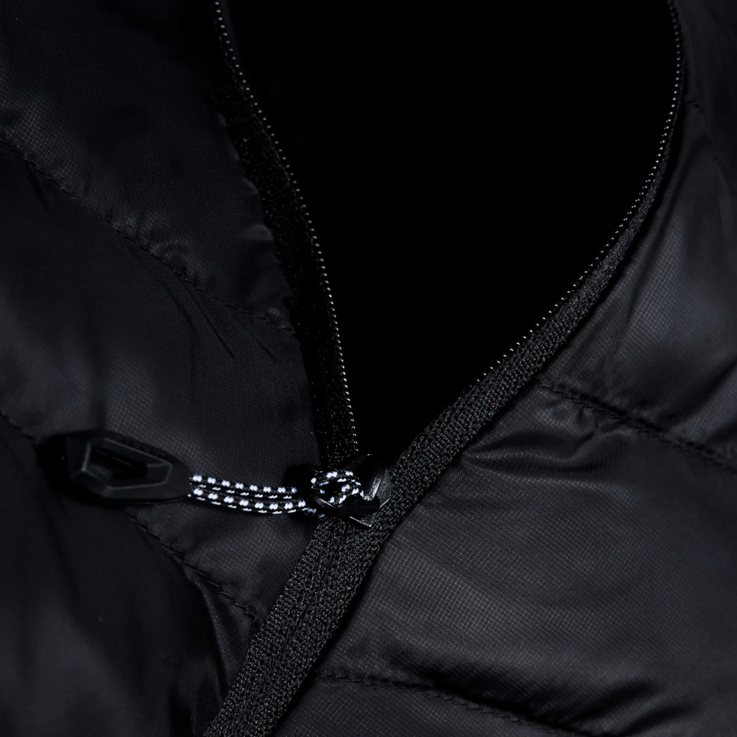 Albula IN Hooded Jacket Men