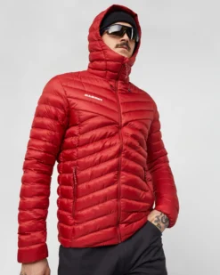 Albula IN Hooded Jacket Men
