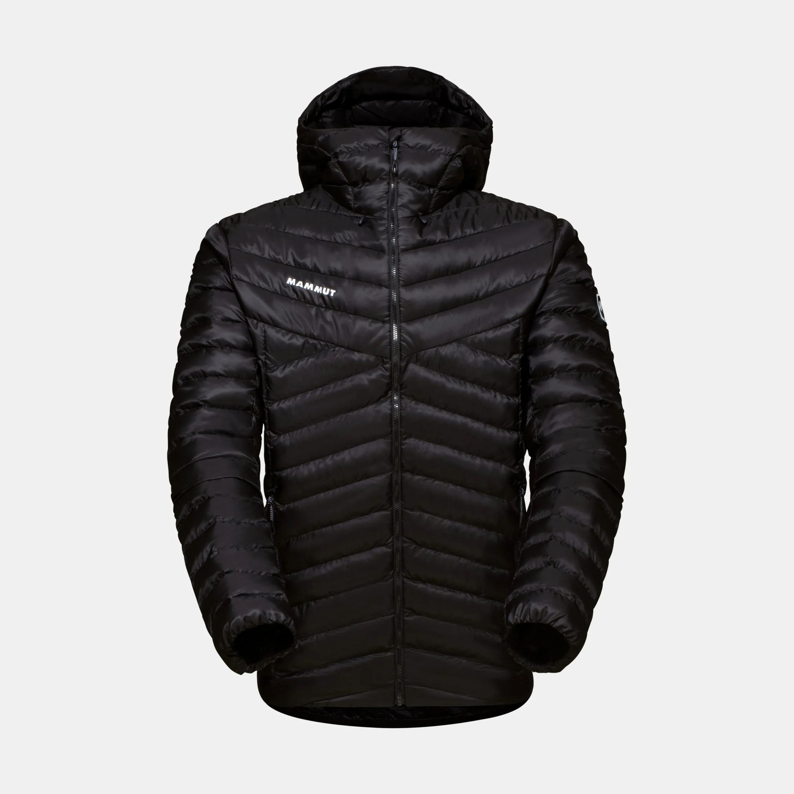 Albula IN Hooded Jacket Men