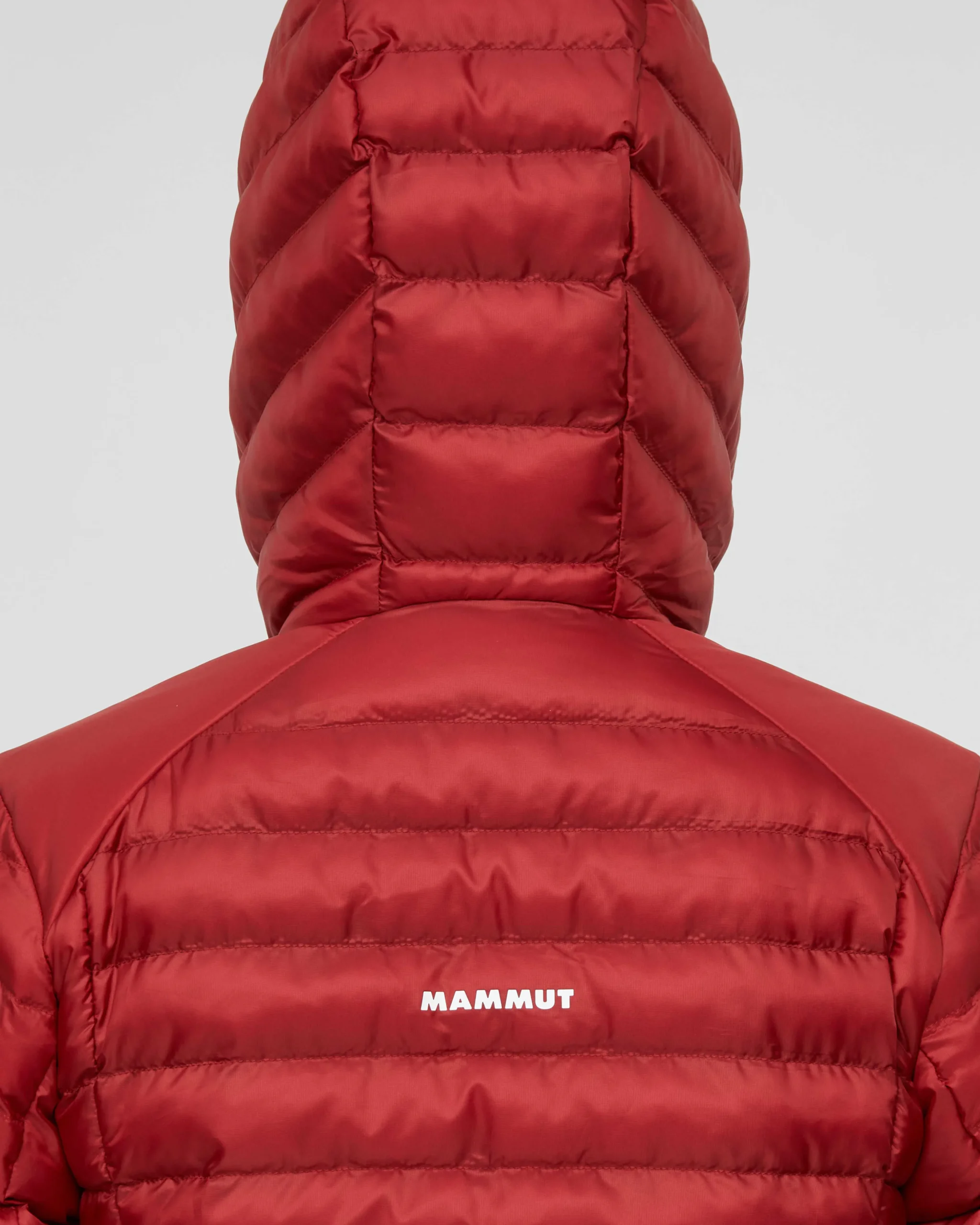 Albula IN Hooded Jacket Women