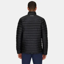 Albula IN Jacket Men