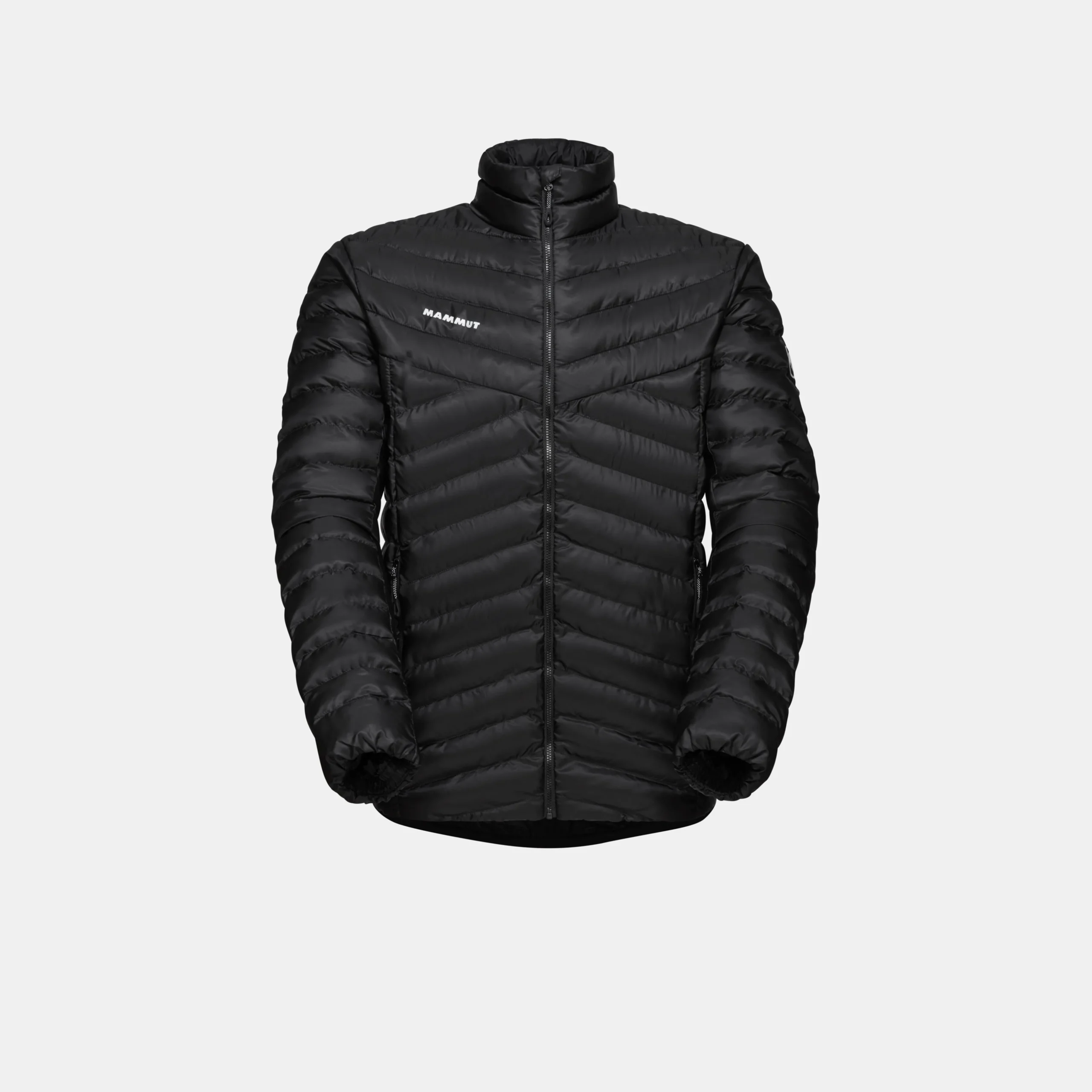 Albula IN Jacket Men