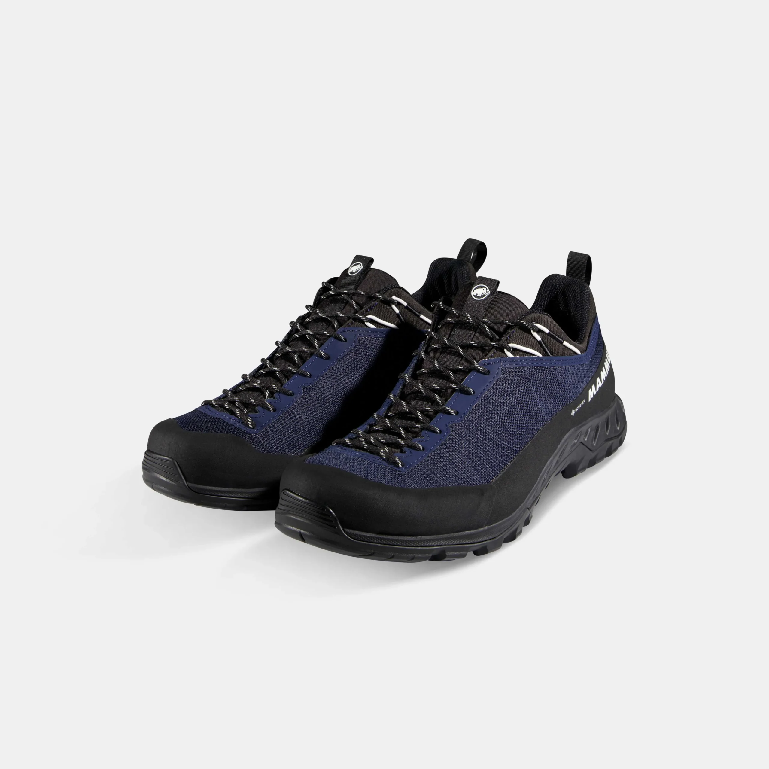 Alnasca IV Low GTX Men