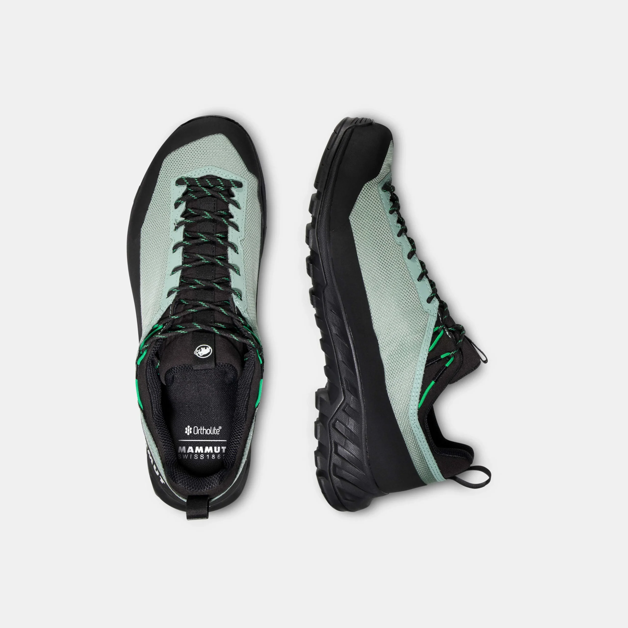 Alnasca IV Low GTX Men