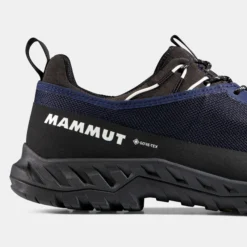 Alnasca IV Low GTX Men