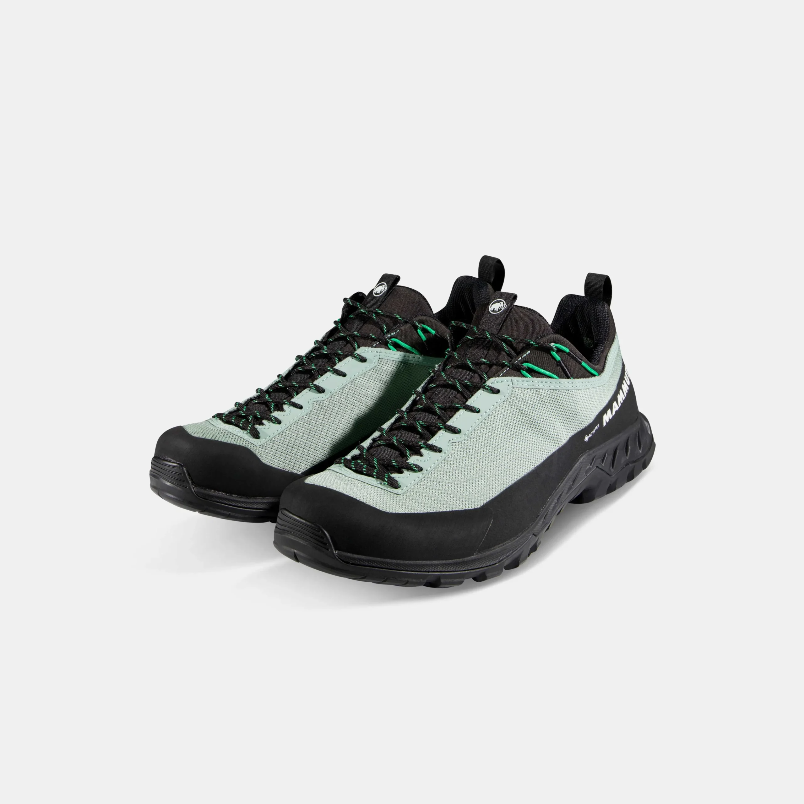 Alnasca IV Low GTX Men