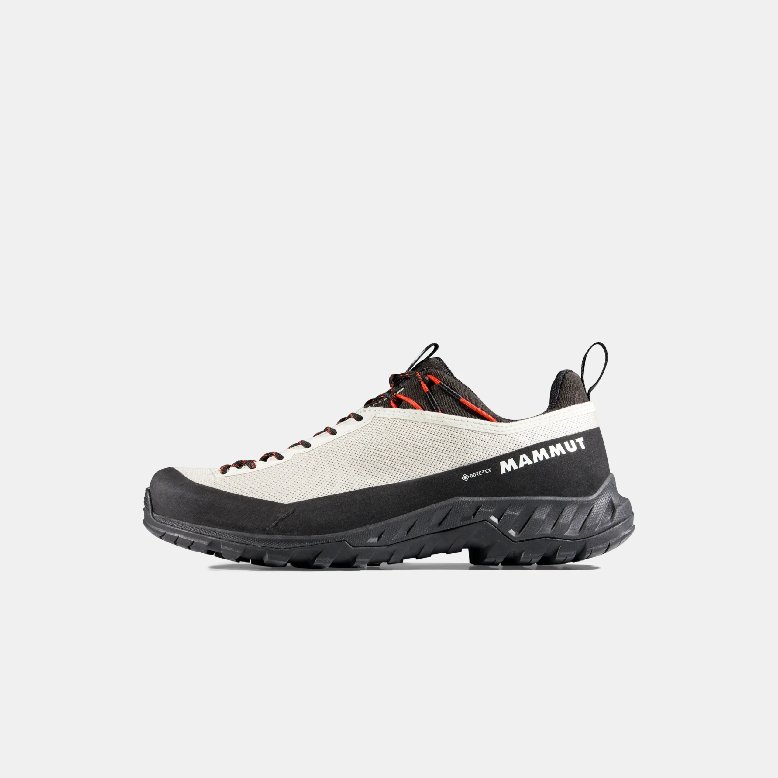 Alnasca IV Low GTX Women