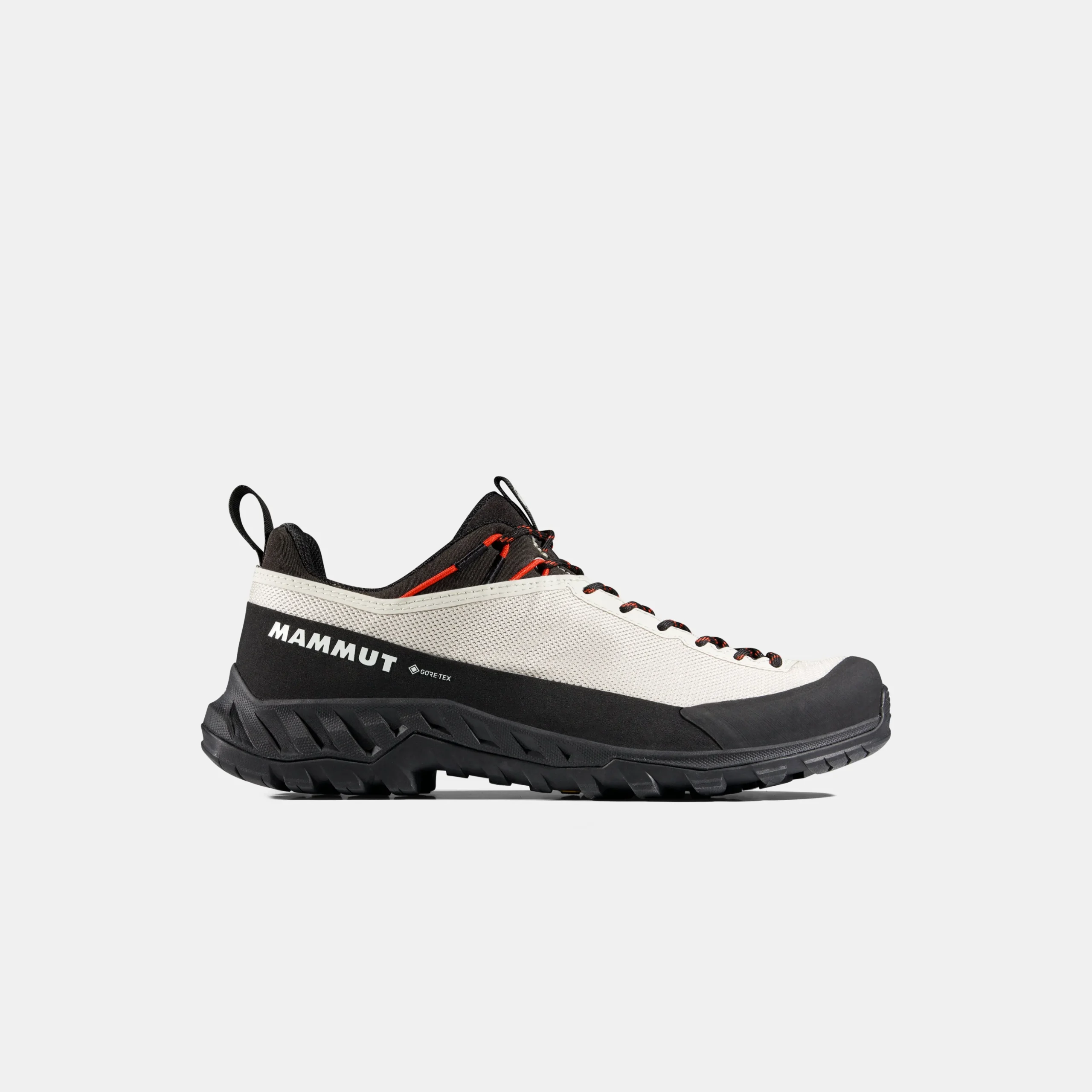 Alnasca IV Low GTX Women