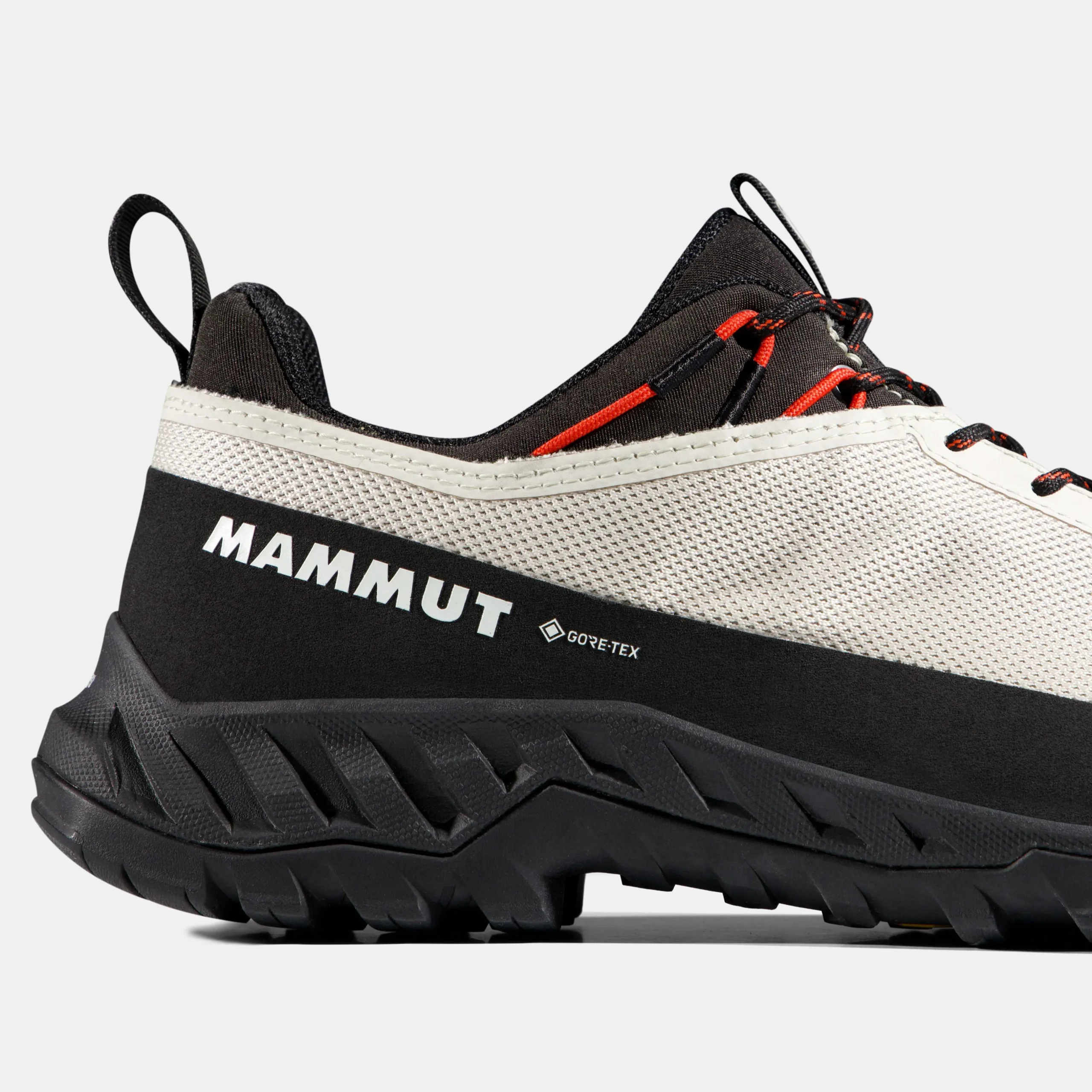 Alnasca IV Low GTX Women