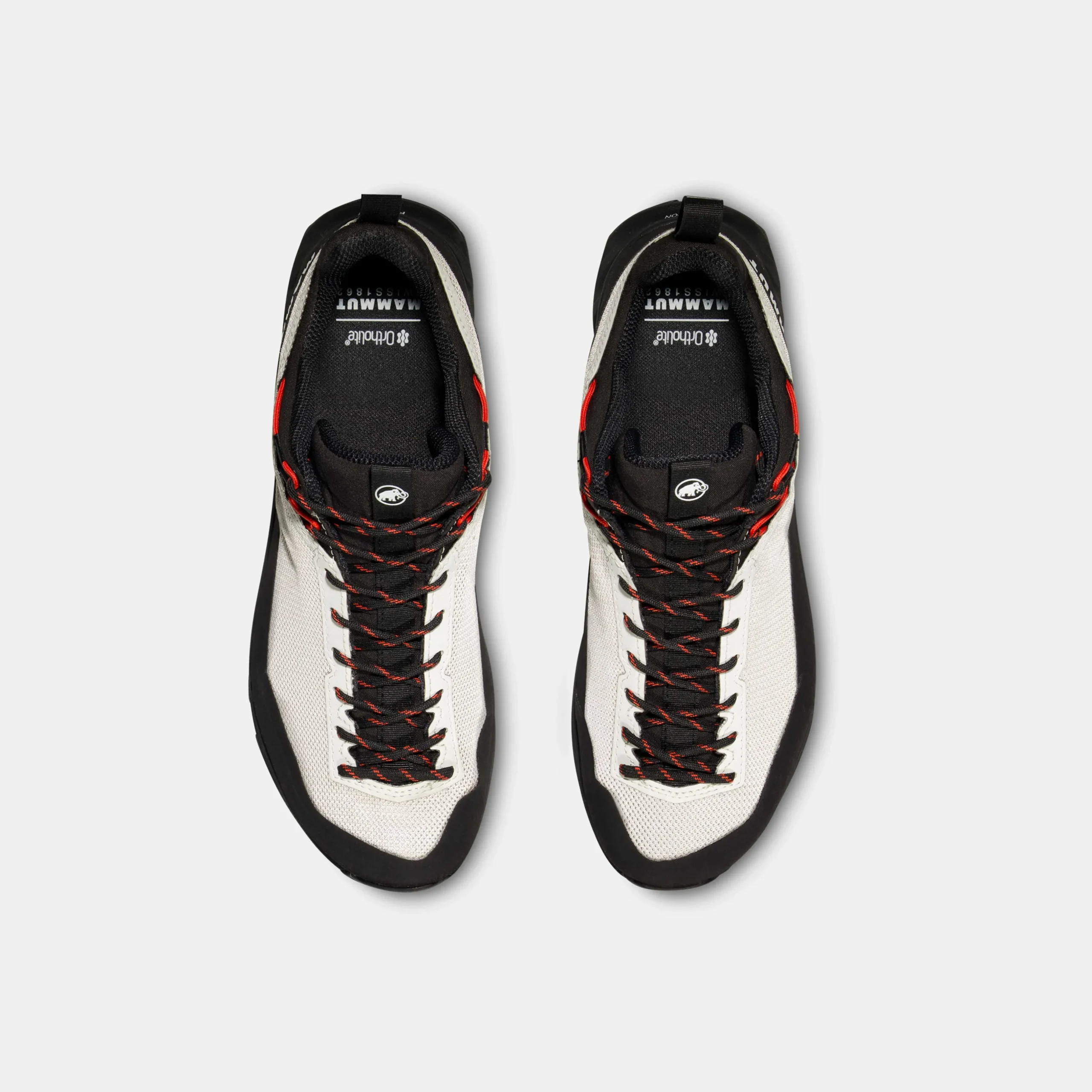 Alnasca IV Low GTX Women