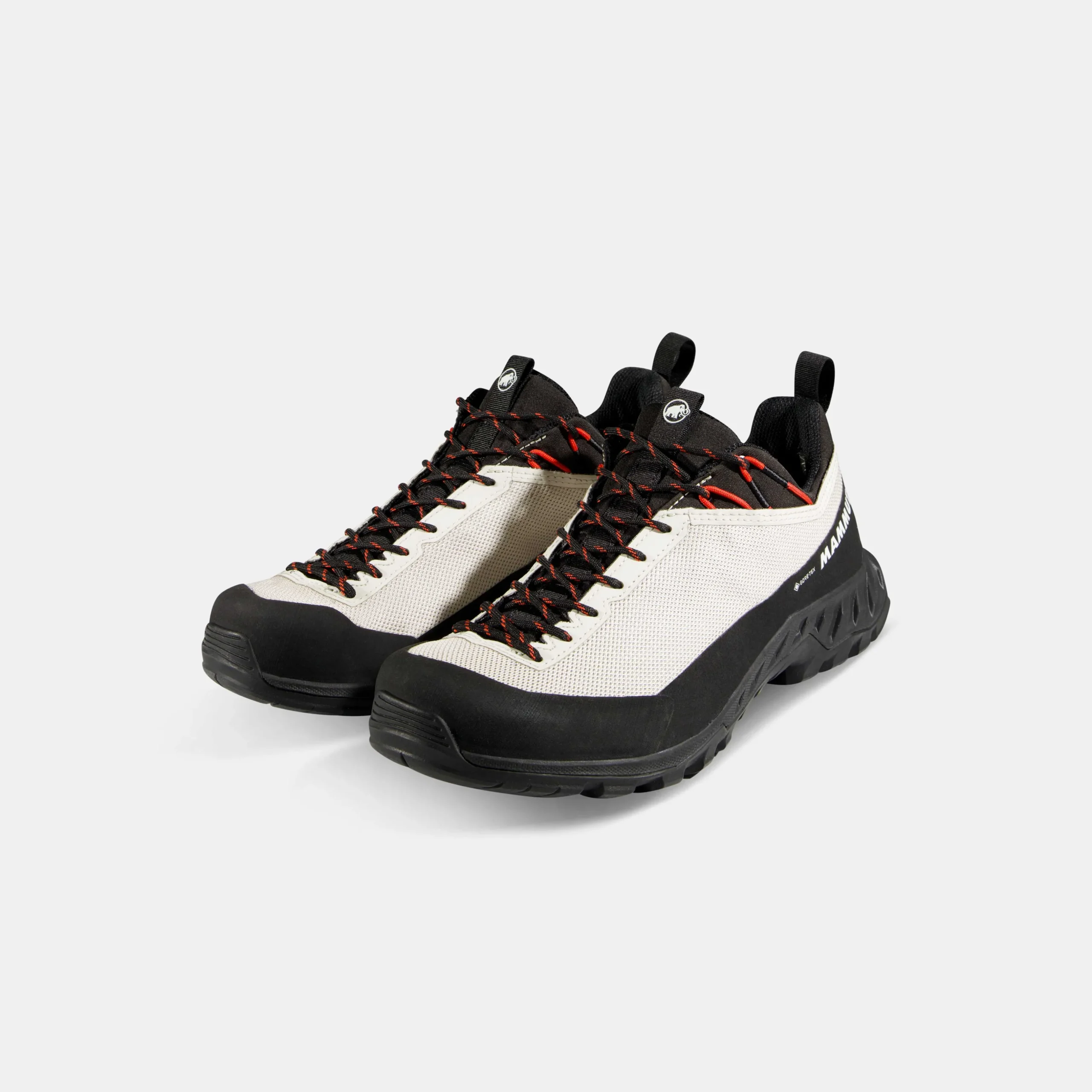 Alnasca IV Low GTX Women
