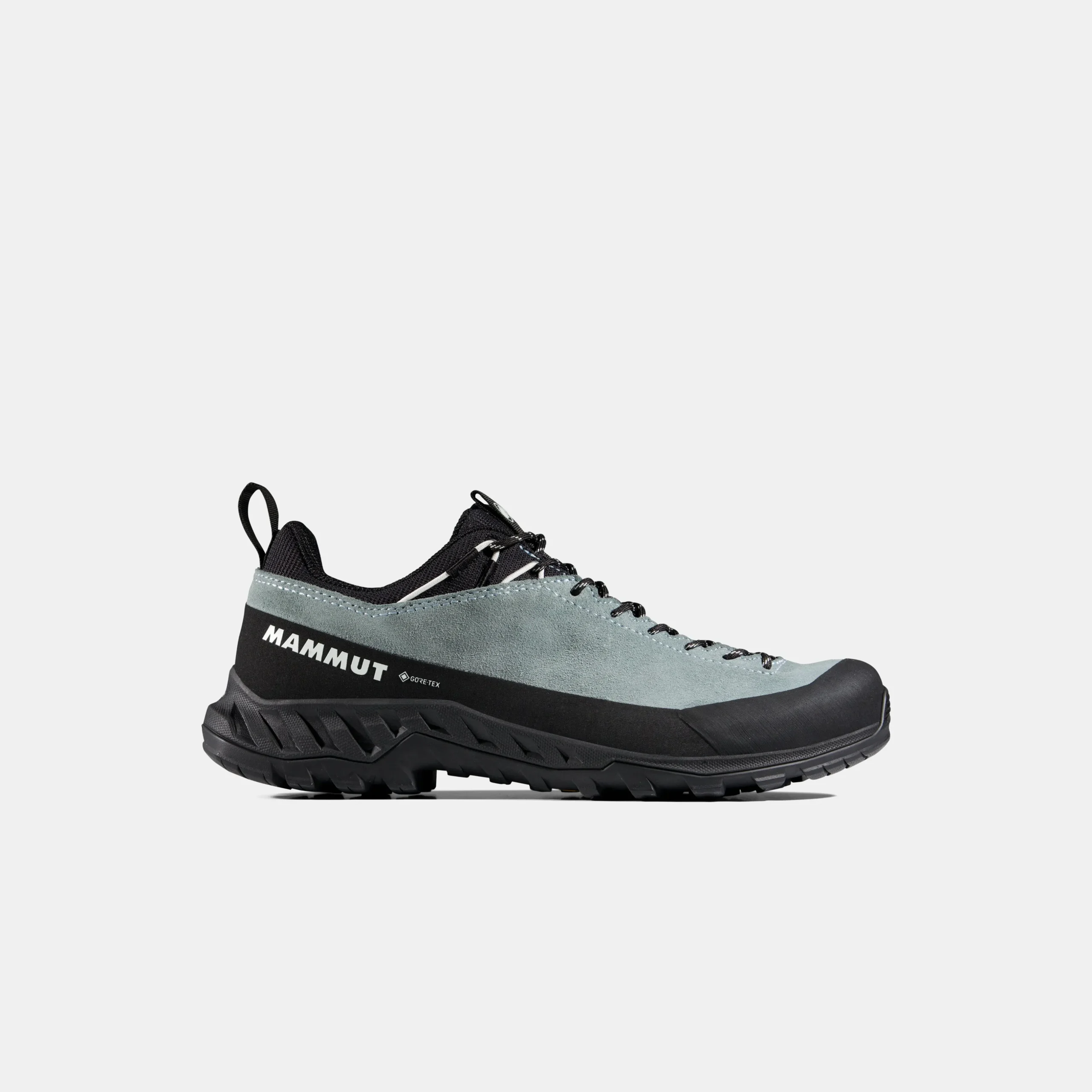 Alnasca IV Low LTH GTX Women