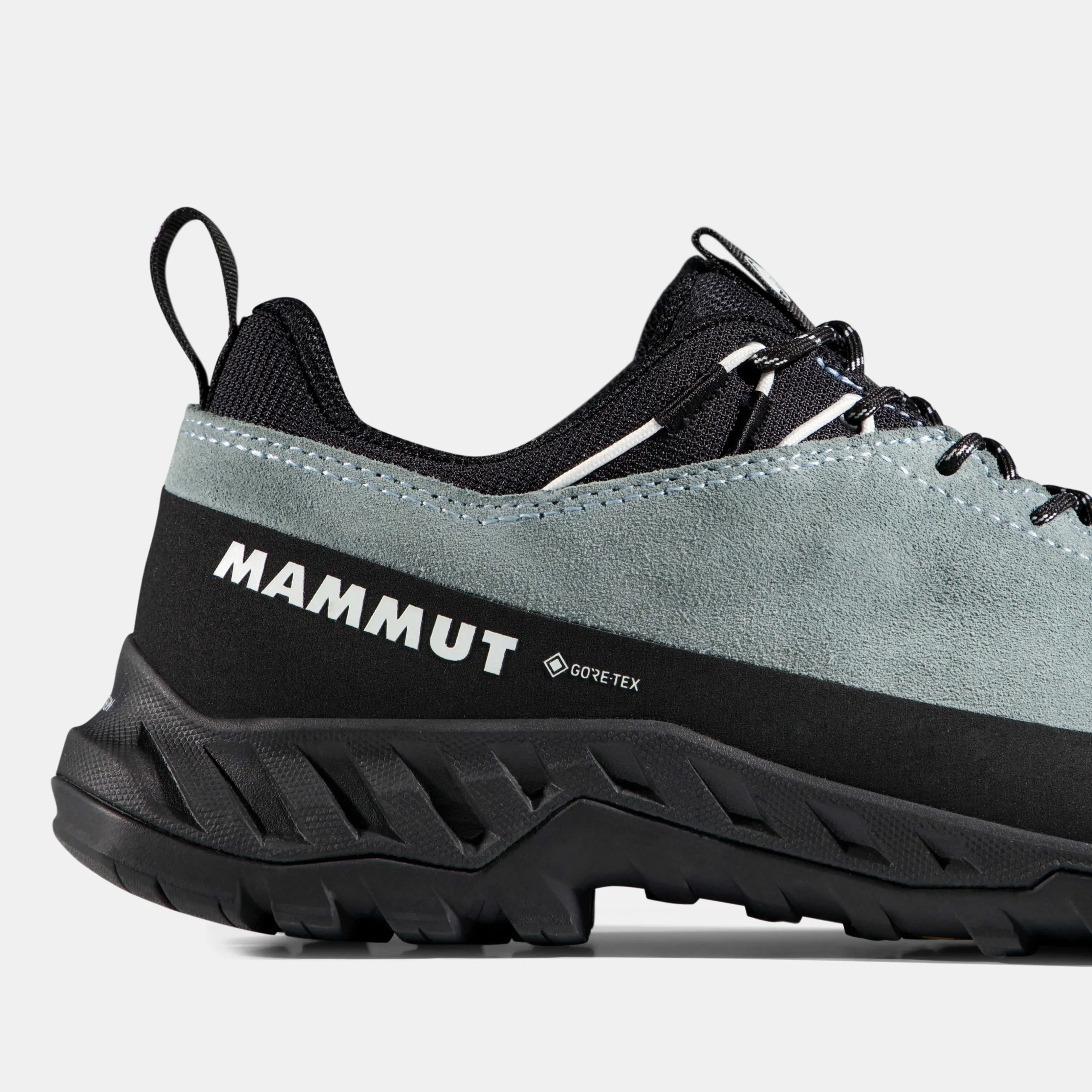 Alnasca IV Low LTH GTX Women