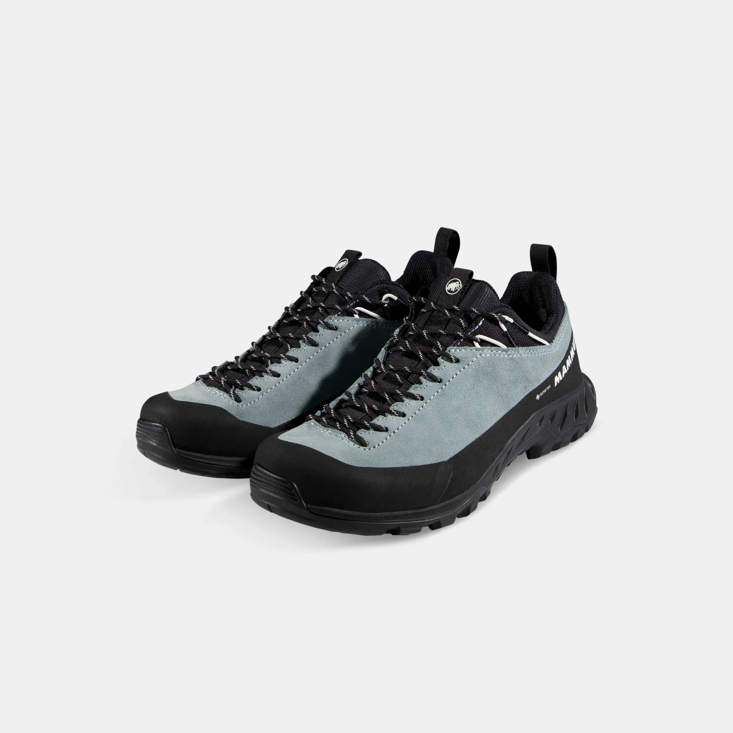Alnasca IV Low LTH GTX Women