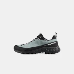 Alnasca IV Low LTH GTX Women