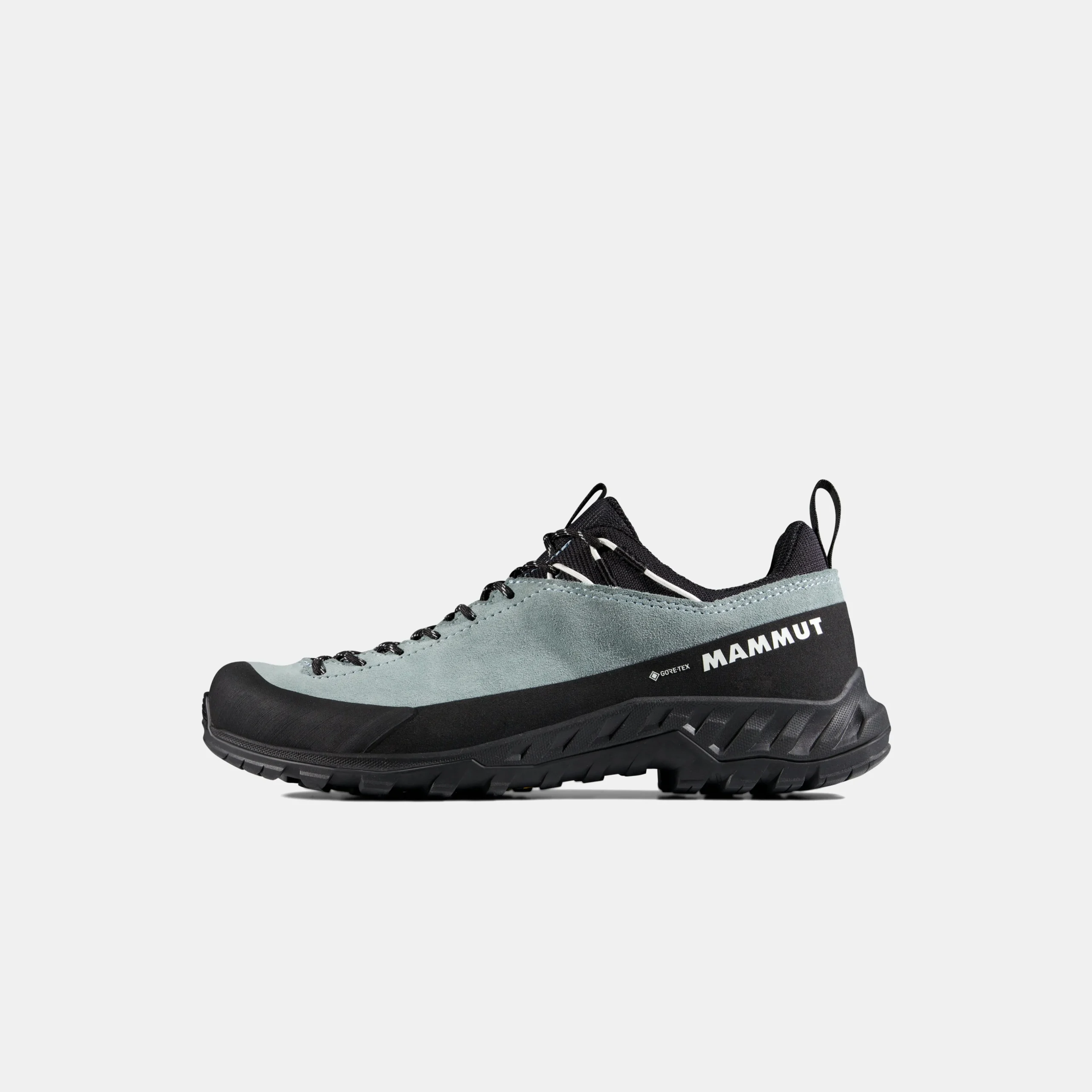 Alnasca IV Low LTH GTX Women