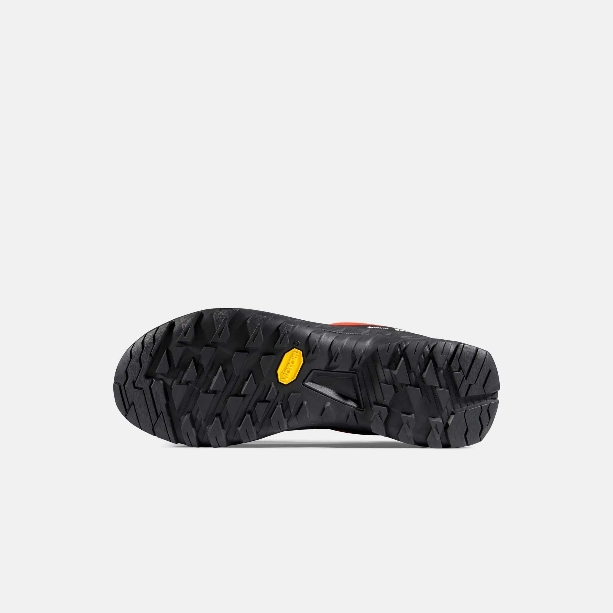 Alnasca IV Low LTH GTX Women