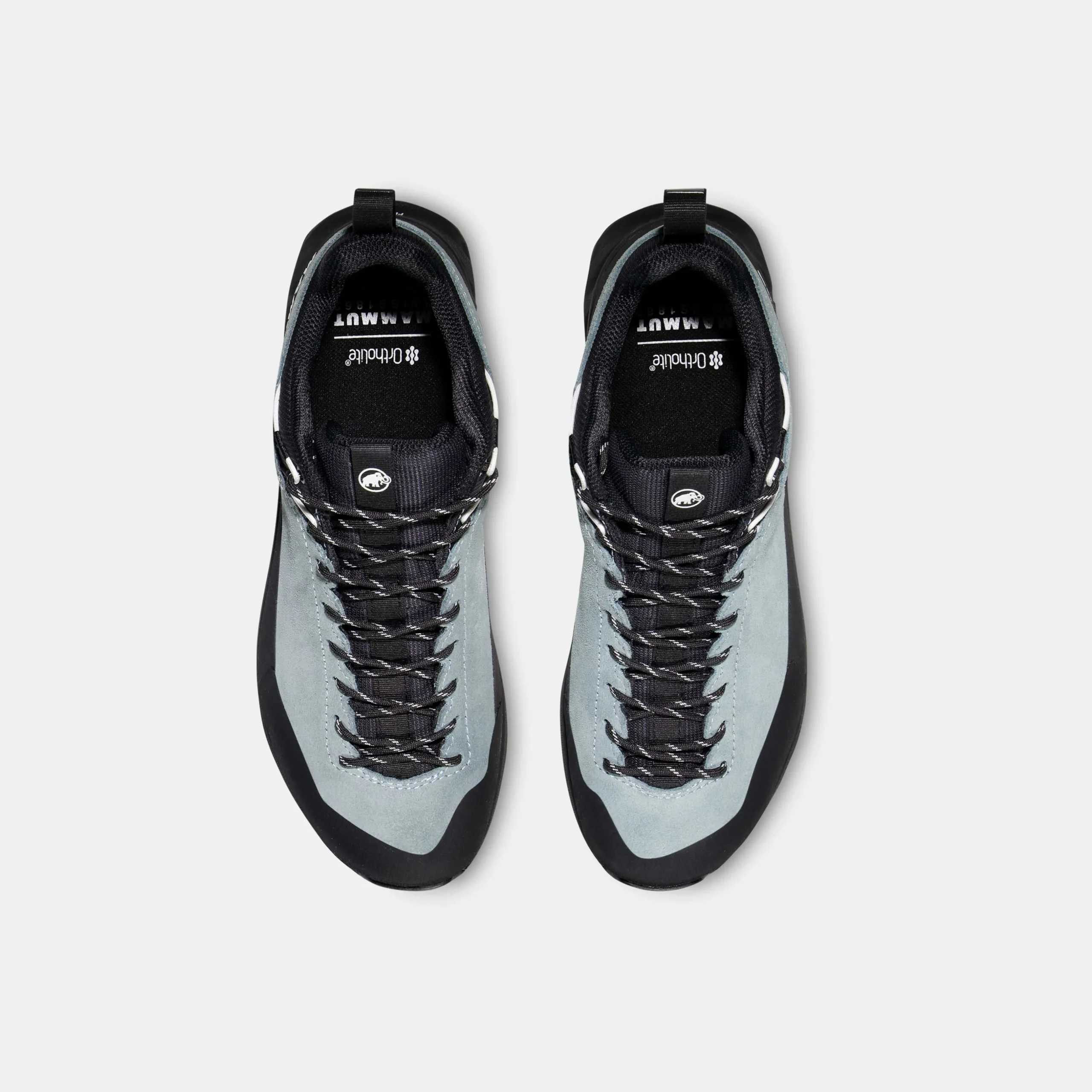 Alnasca IV Low LTH GTX Women