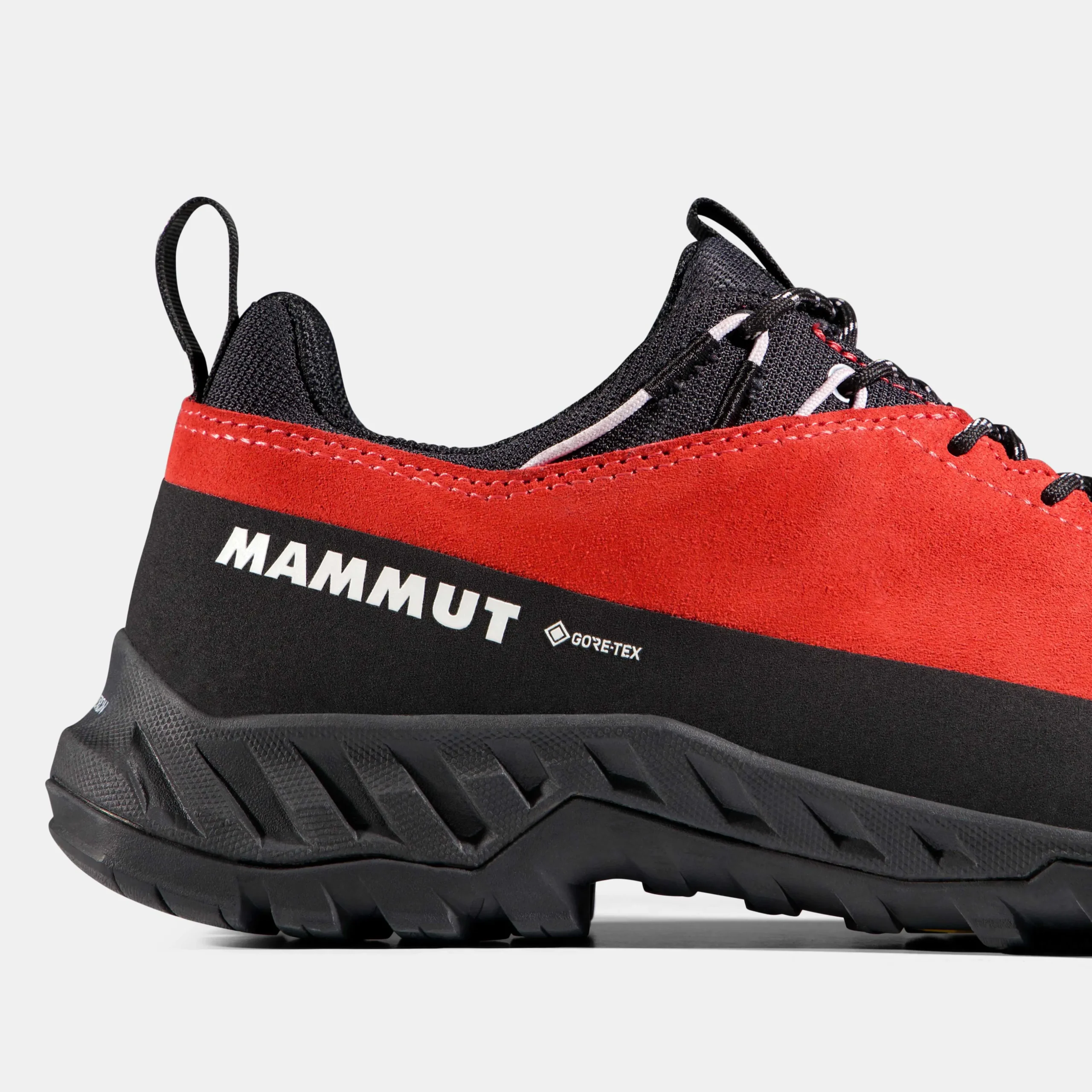 Alnasca IV Low LTH GTX Women