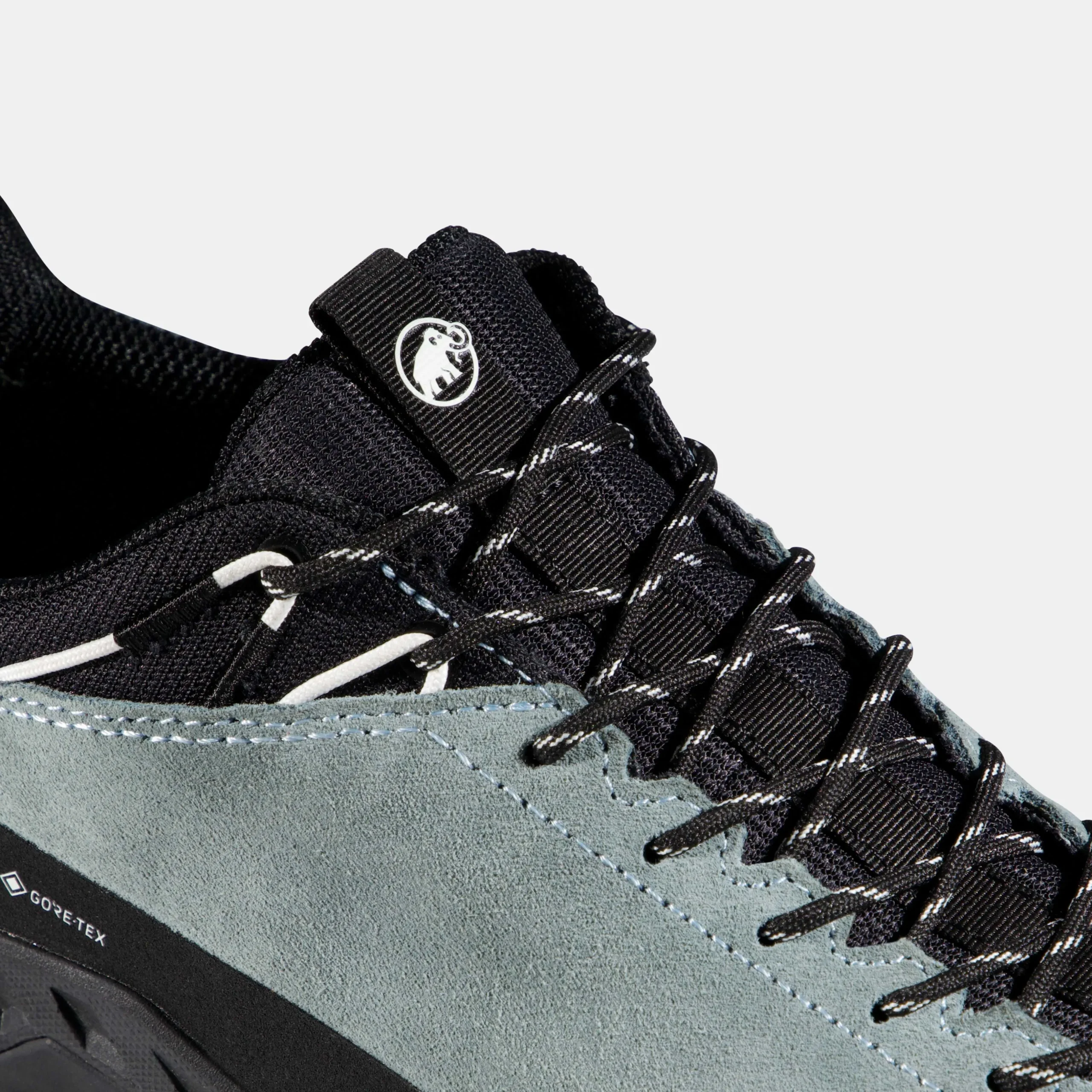 Alnasca IV Low LTH GTX Women