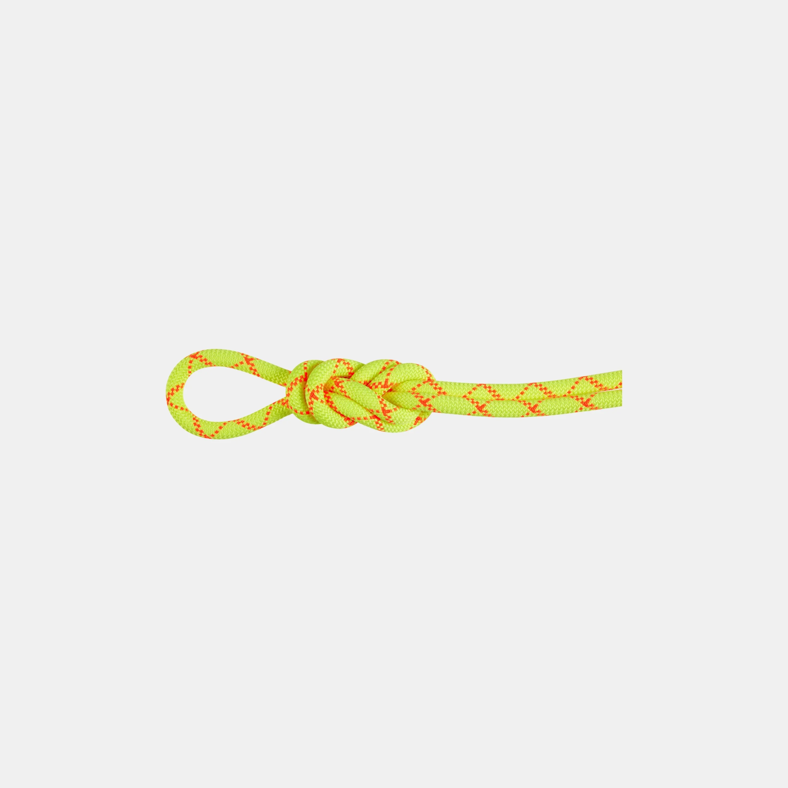 9.5 Alpine Core Protect Dry Rope 80m