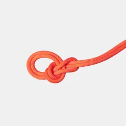 9.8 Crag Dry Rope 50m