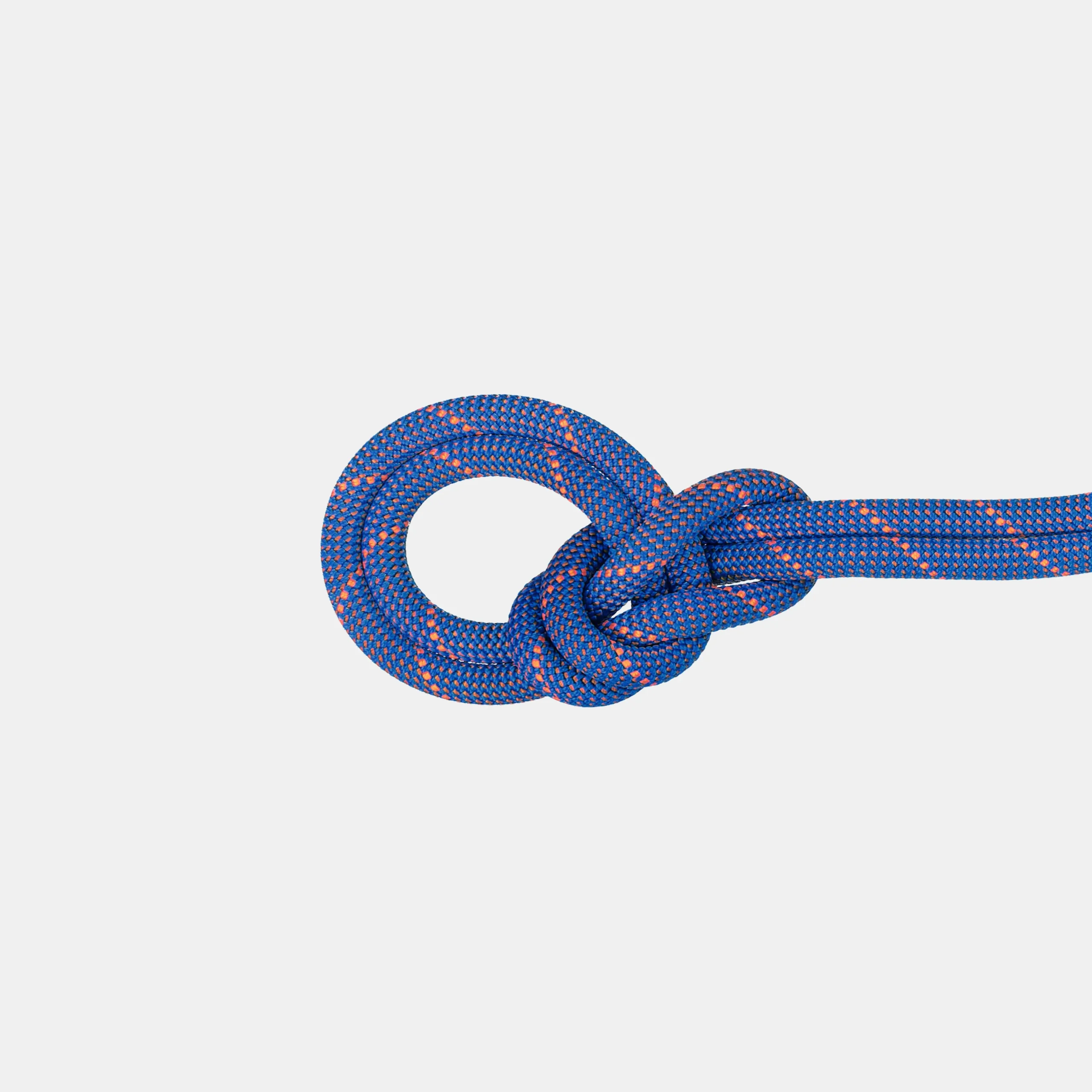9.0 Crag Sender Dry Rope 60m