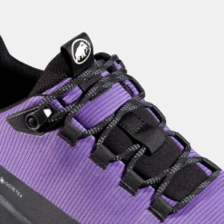 Ducan III Low GTX Women