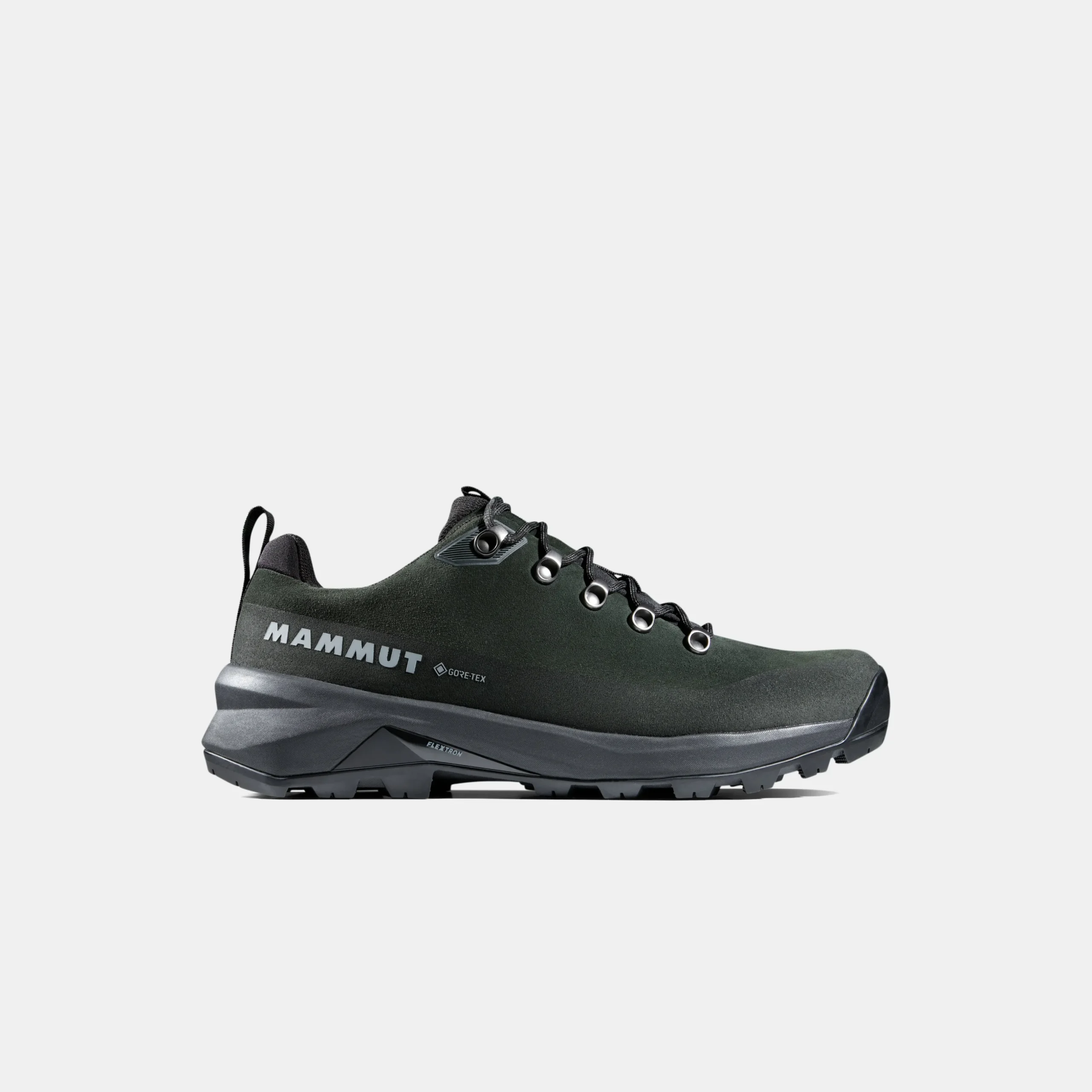 Ducan III Low LTH GTX Men