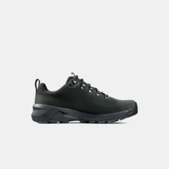 Ducan III Low LTH GTX Men