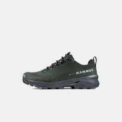 Ducan III Low LTH GTX Men