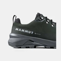 Ducan III Low LTH GTX Men