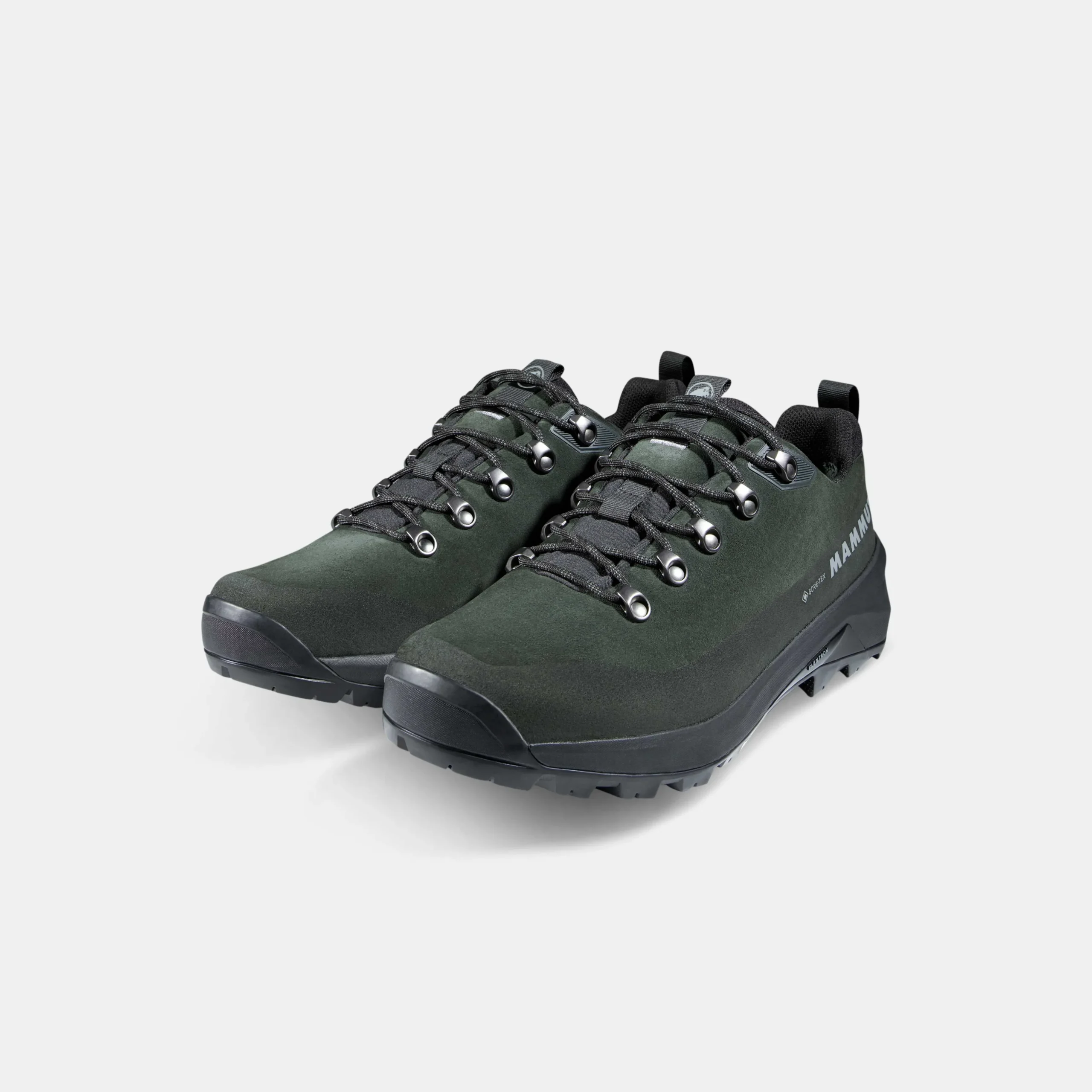 Ducan III Low LTH GTX Men