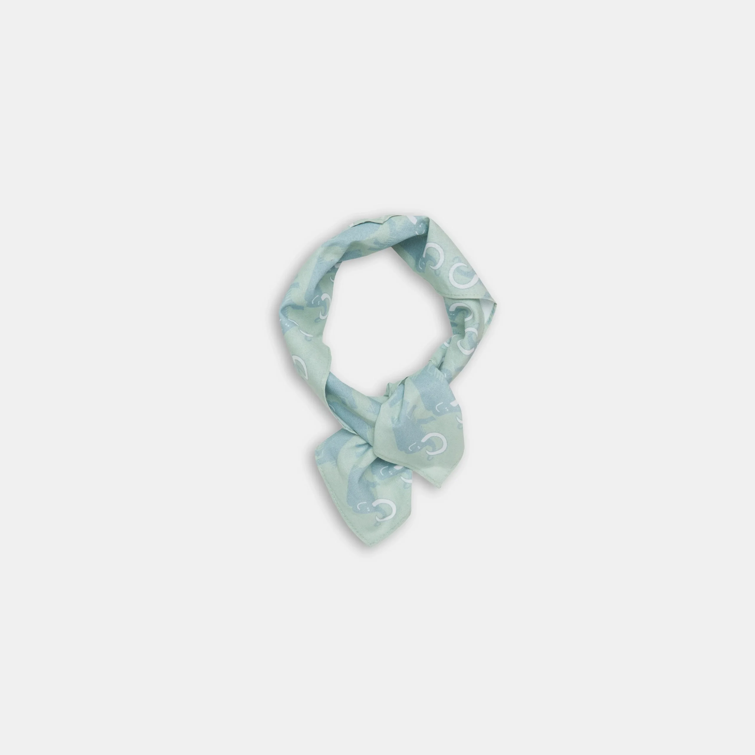 Mammut Bandana