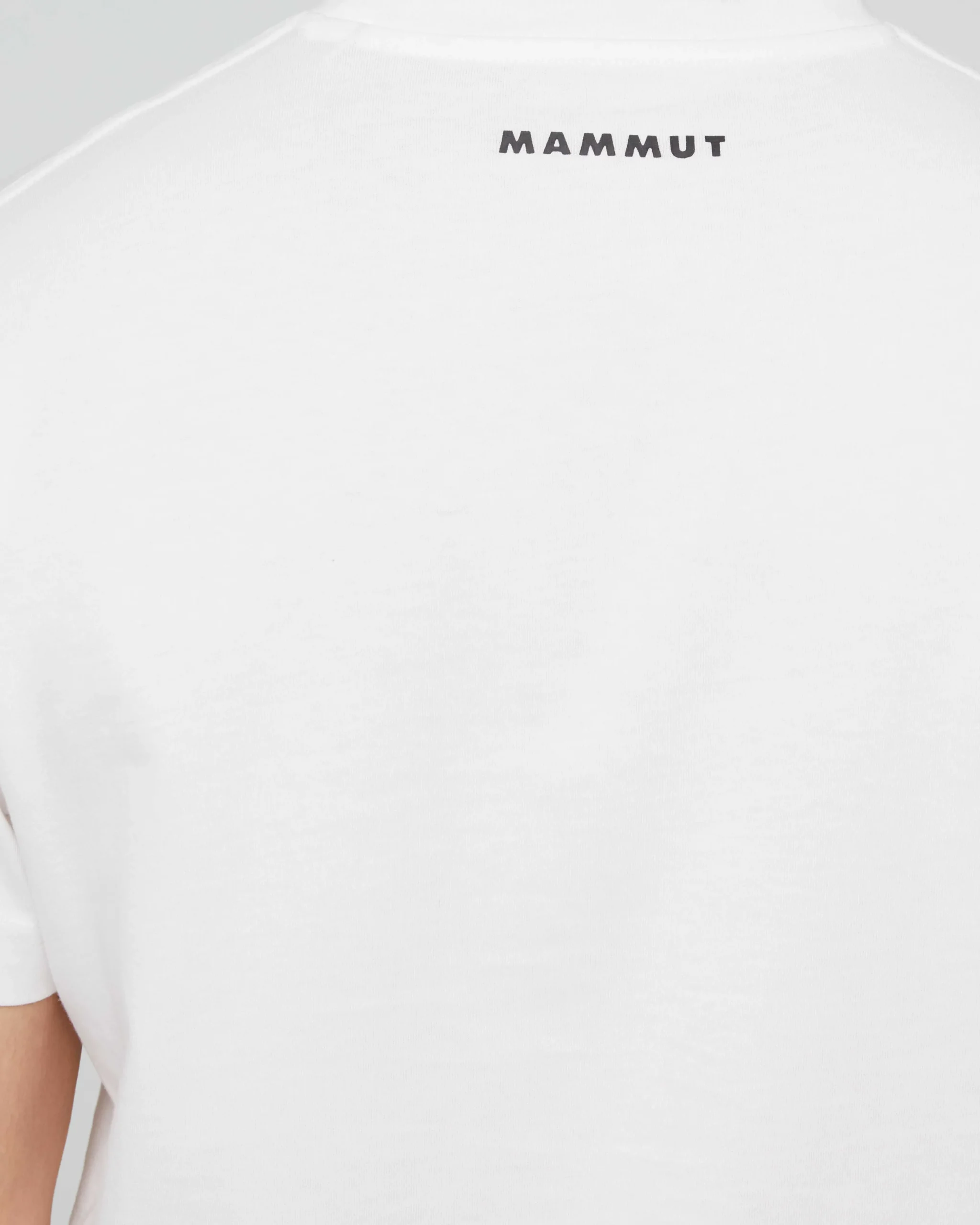 Mammut Base T-Shirt Men Mini Logo