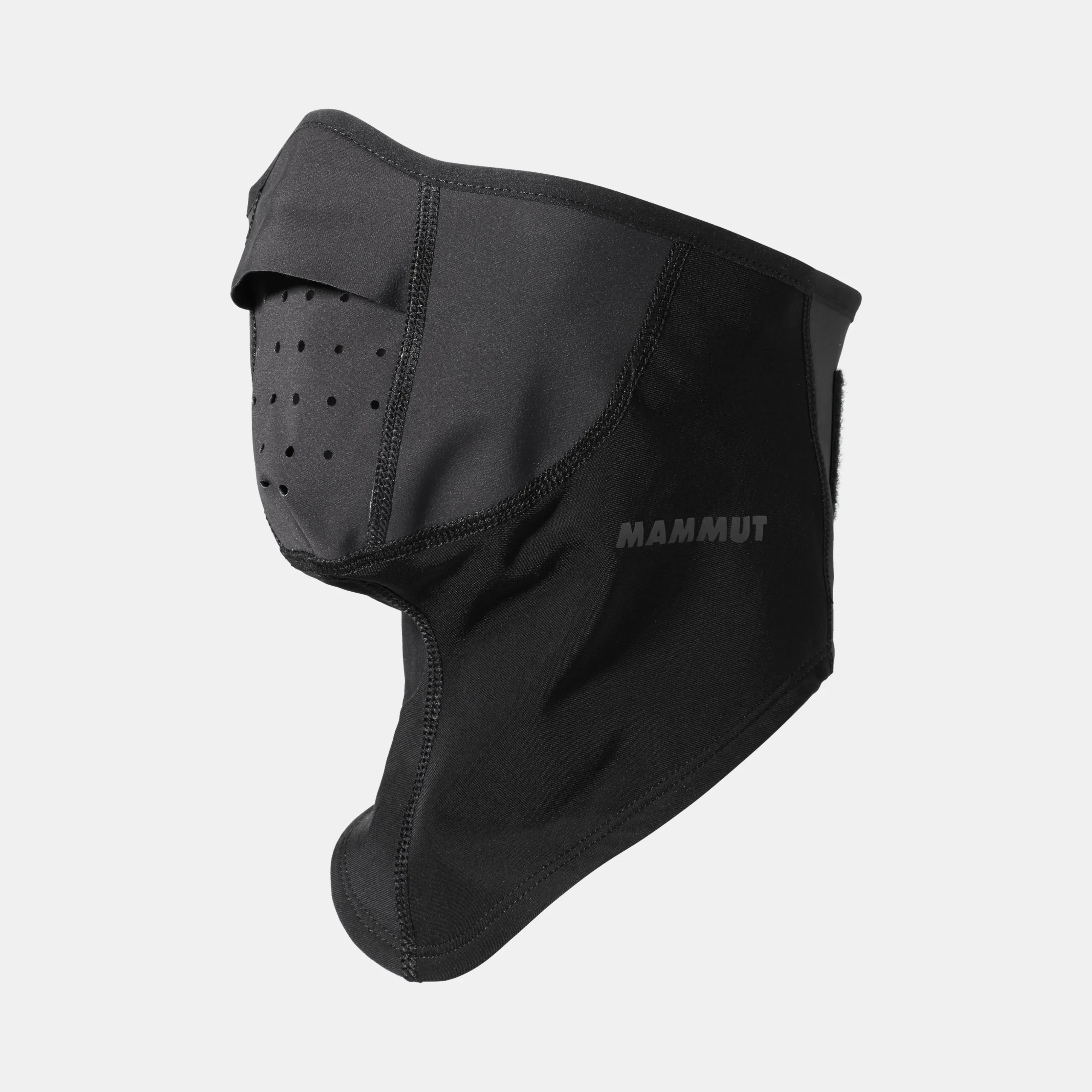 Mask Arctic WS
