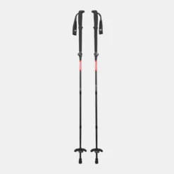 Taiss Poles