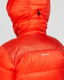 Taiss Pro Belay IN Hooded Jacket Women