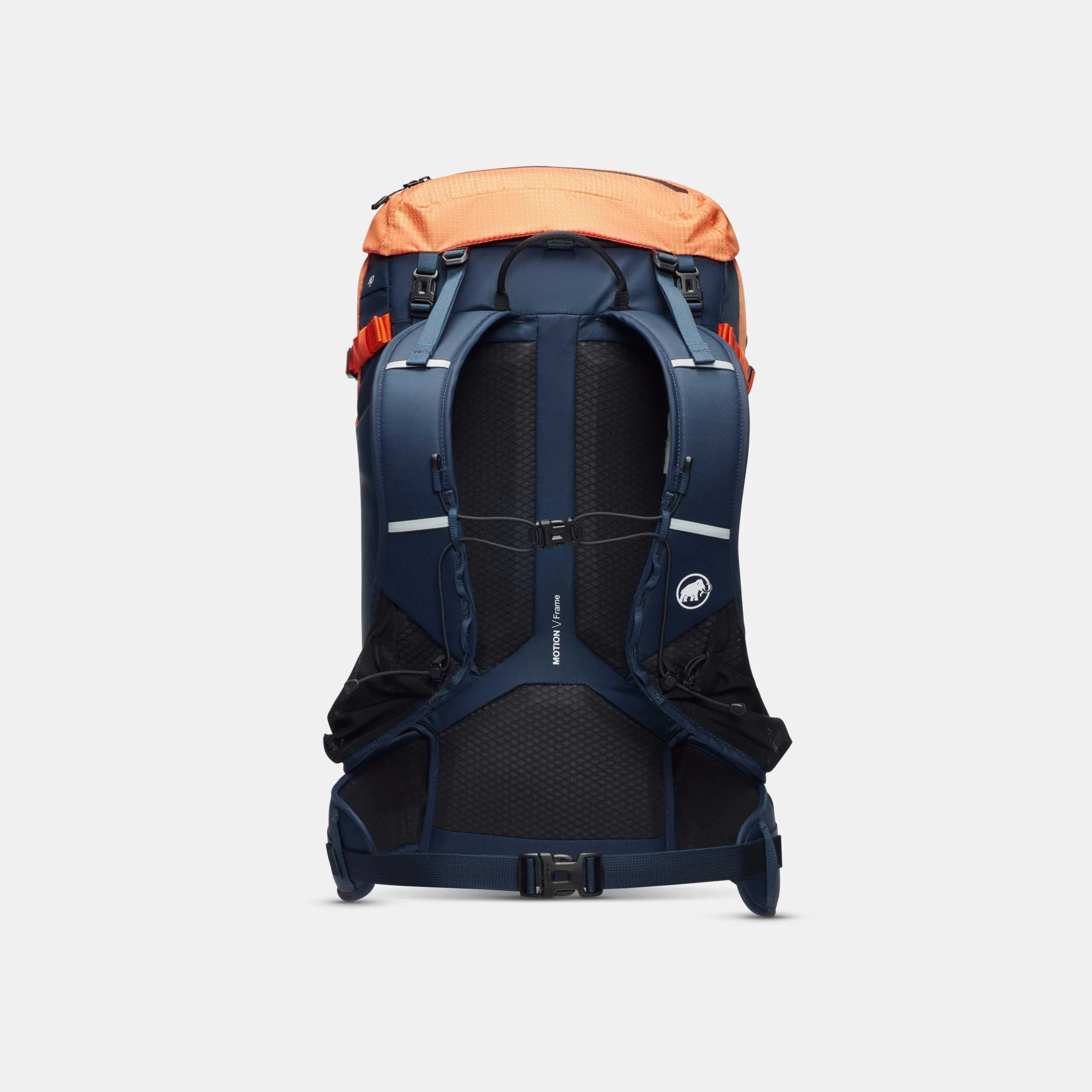 Trion 38