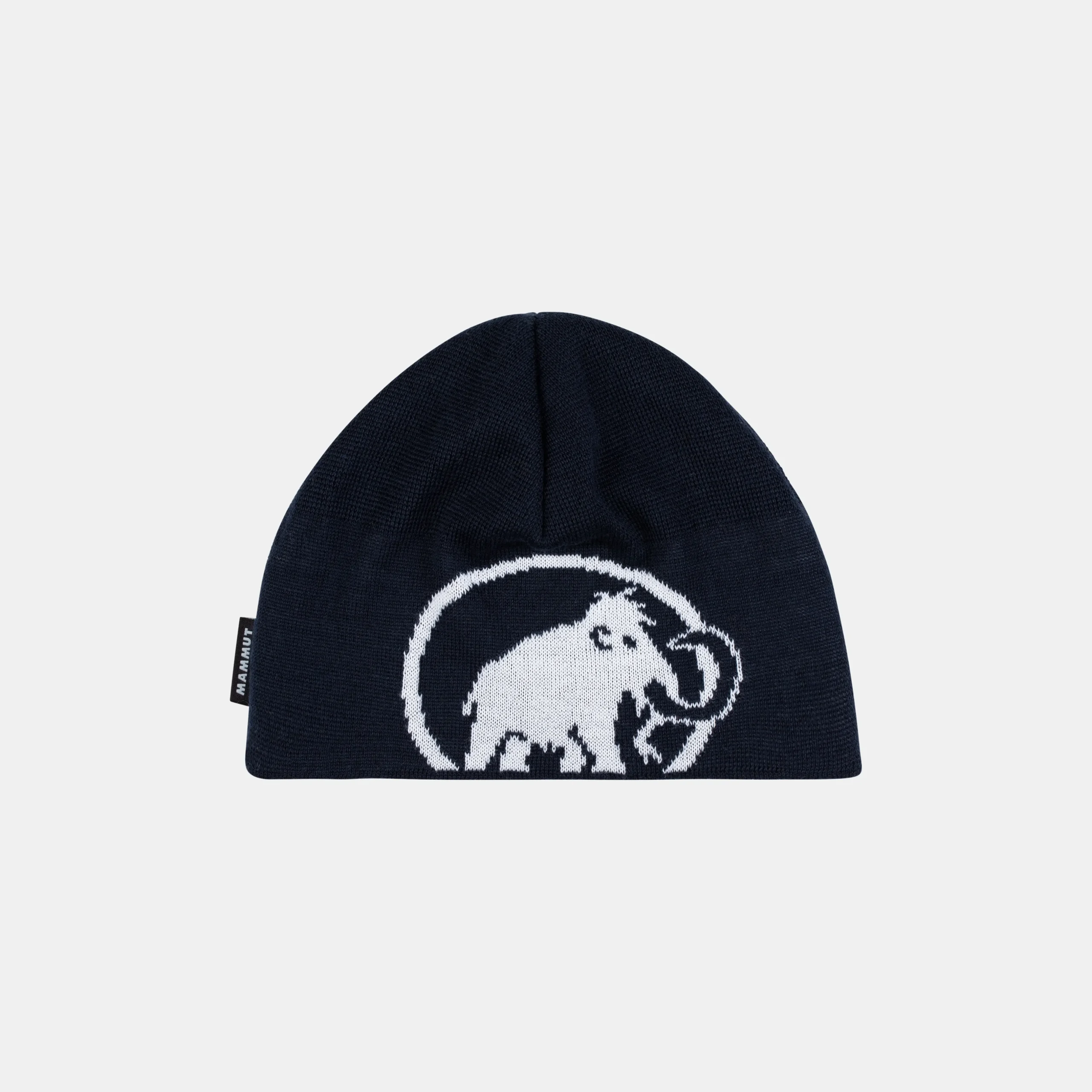 Tweak Beanie