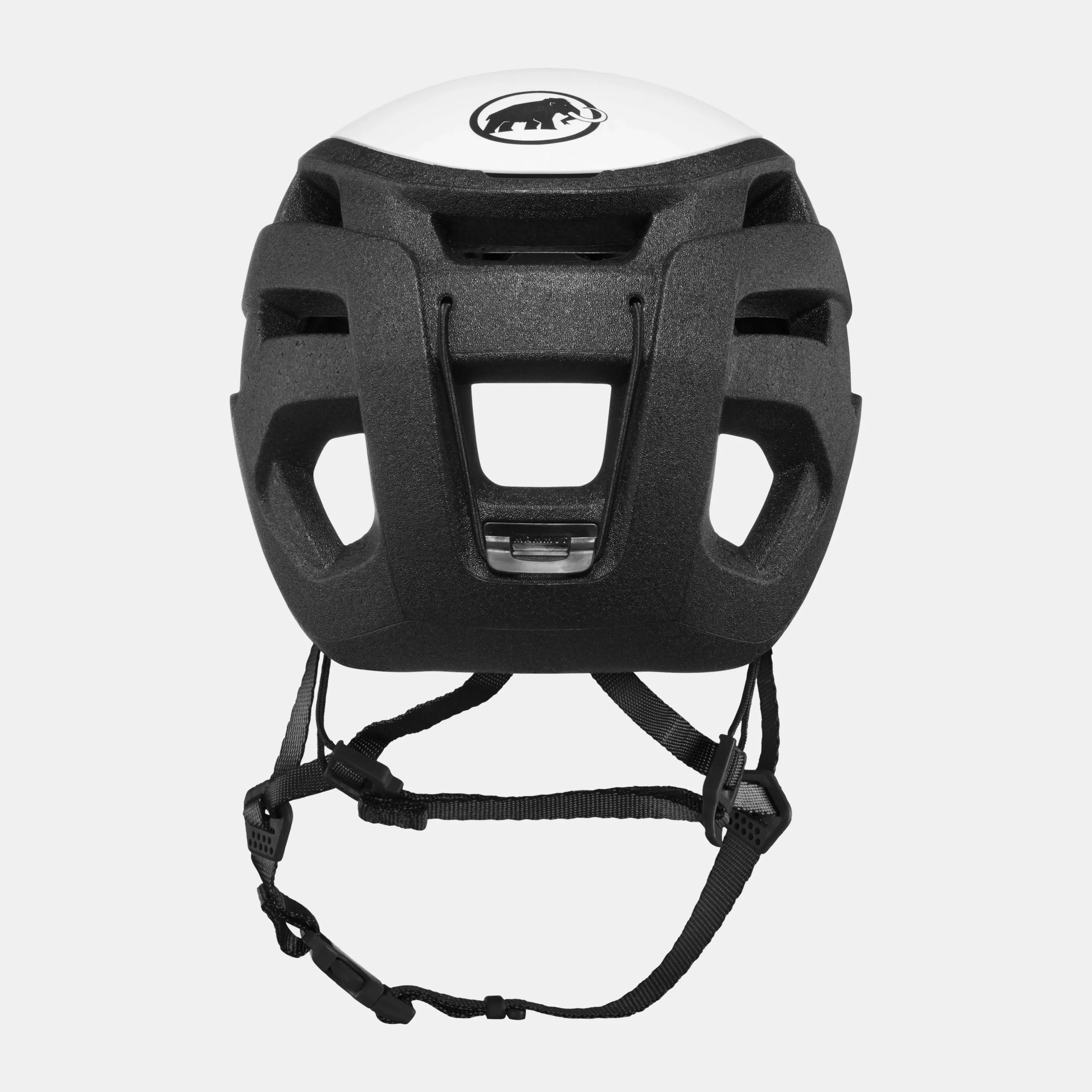 Wall Rider 2.0 Helmet