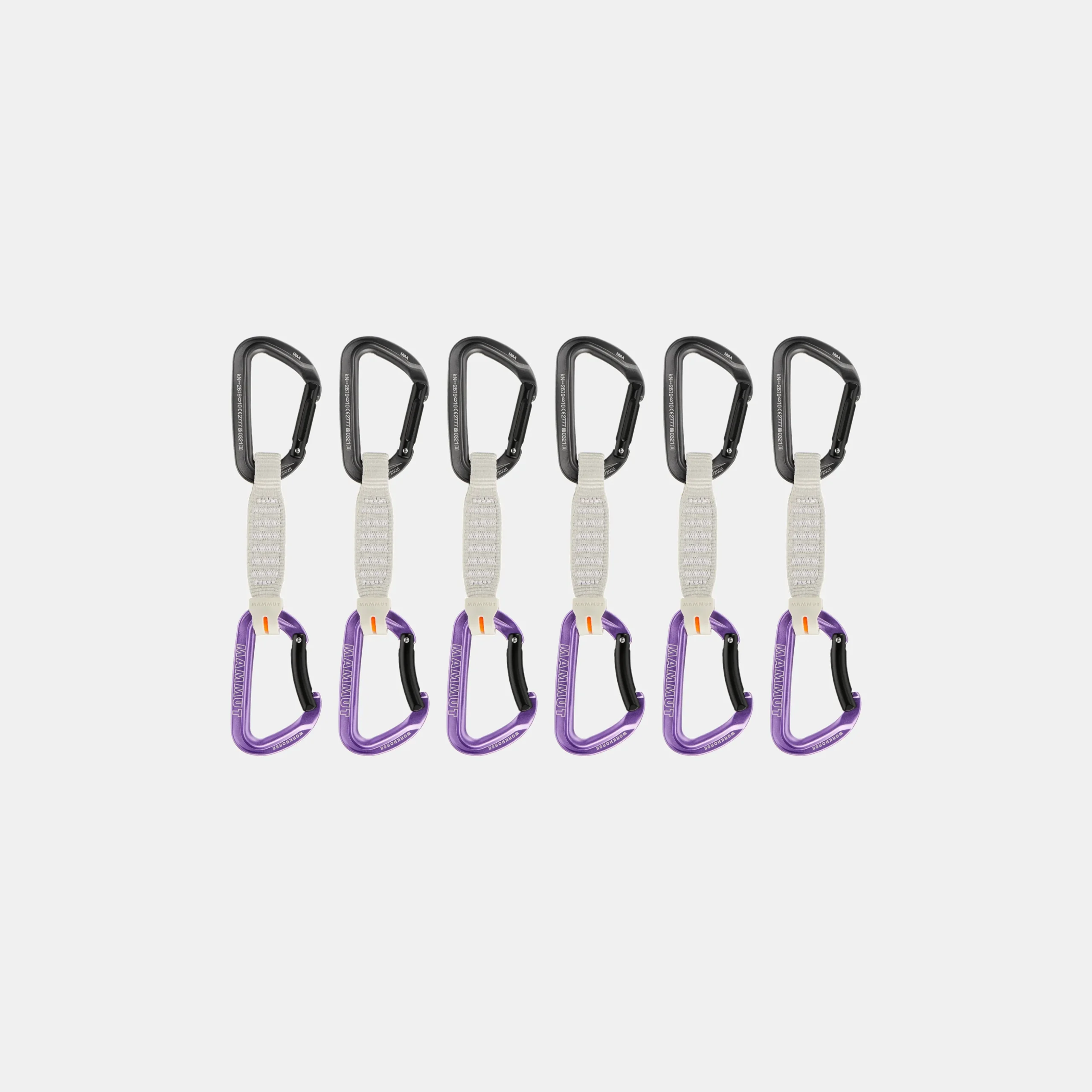 Workhorse Keylock 12 cm 6-Pack Quickdraws